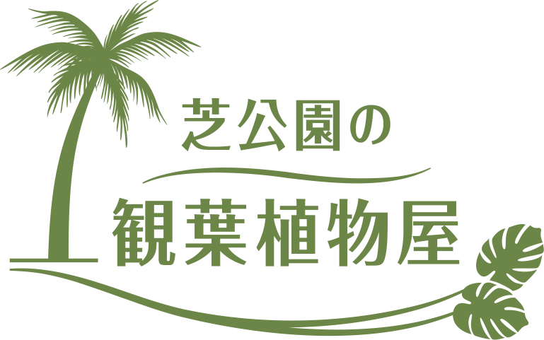 芝公園の観葉植物屋